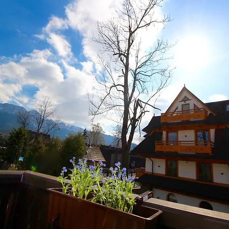 Bazatatry Koscieliska Zakopane